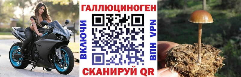 Псилоцибиновые грибы Psilocybe Чердынь